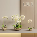 Decorative Potted Bonsai Plants With White Orchids In Brown Pots On Light Table