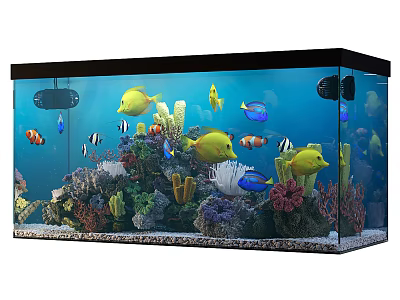 Beautiful Aquarium Fish Tank With Colorful Tropical Fish Corals And Aquatic Plants 3d model