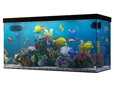 Modern fish tank Aquarium model