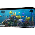 Beautiful Aquarium Fish Tank With Colorful Tropical Fish Corals And Aquatic Plants