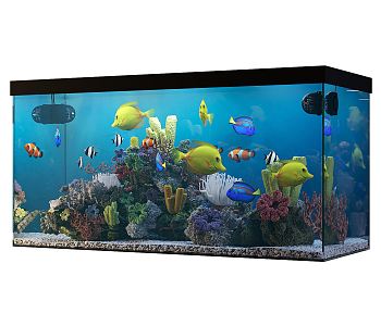 Modern fish tank Aquarium 3d model