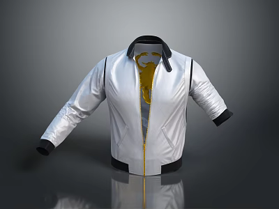 Stylish Silver Jacket With Black Collar Cuff And Gold Zipper Design 3d model