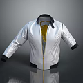 Stylish Silver Jacket With Black Collar Cuff And Gold Zipper Design