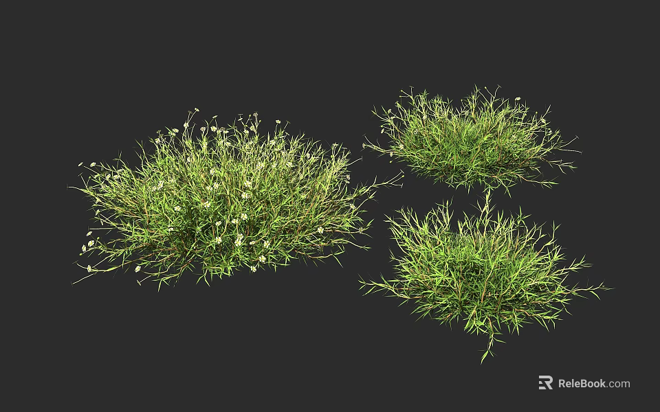 Green Grass Plants With White Flowers In Natural Clumps For Garden Decor 3d model 
