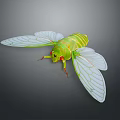 Modern cicada shell golden cicada 3d model