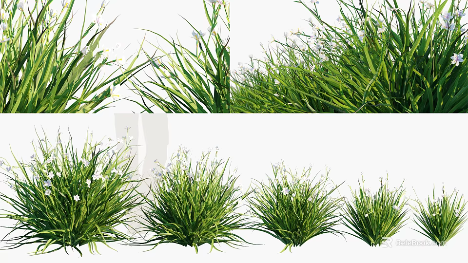 Various Types of Lush Green Grass with Small White Flowers and Lush Foliage 3d model 