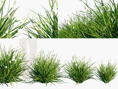 Various Types of Lush Green Grass with Small White Flowers and Lush Foliage 3d model
