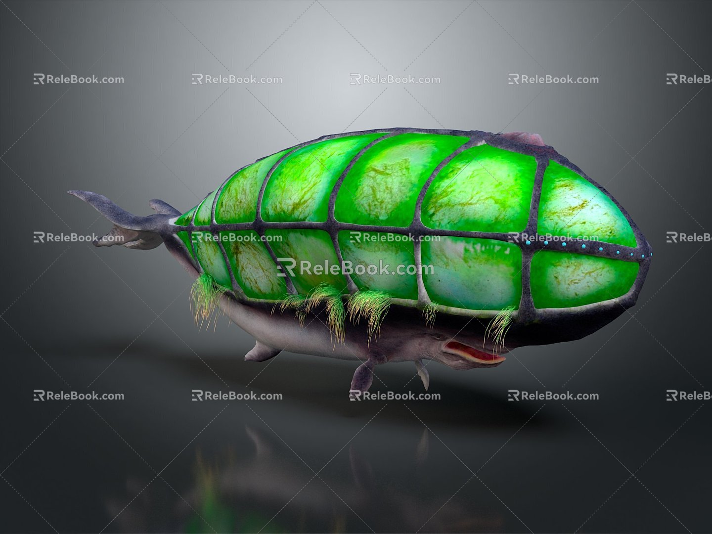 whale cartoon whale mammal marine mammal marine animal fish freshwater fish marine fish 3d model