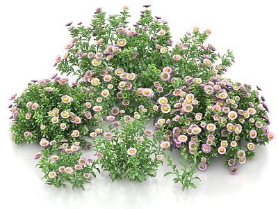 Lush Green Shrub With Small White Purple Flowers In Garden Landscape 3d model
