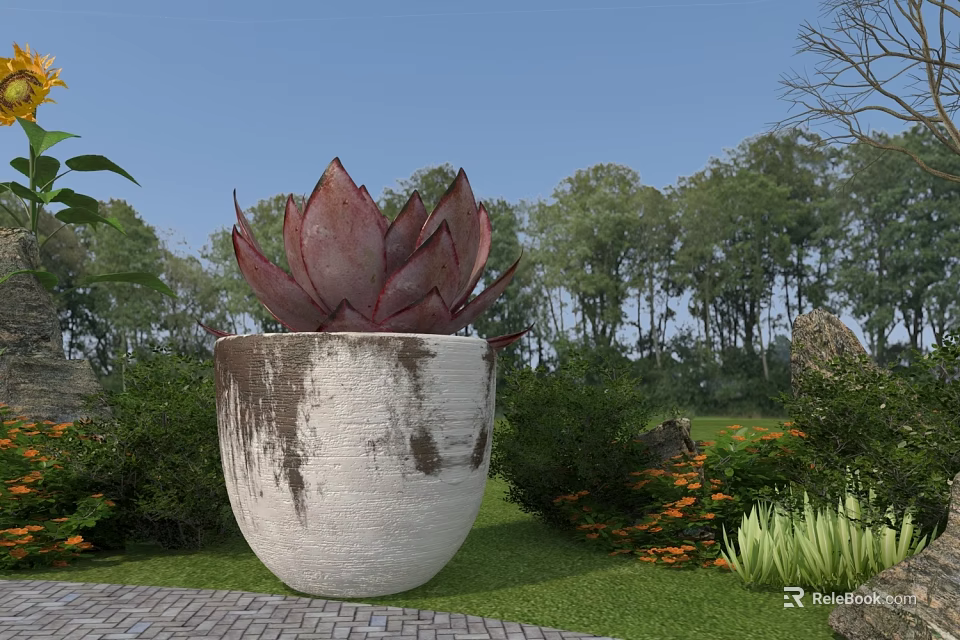 Red Succulent Potted In White Pot With Brown Spots In Garden With Green Trees 3d model 