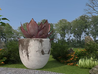 Red Succulent Potted In White Pot With Brown Spots In Garden With Green Trees 3d model