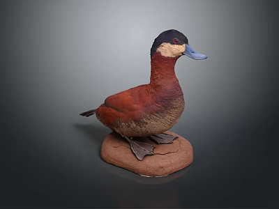 Detailed Duck Taxidermy Mount On Brown Base With Dark Background 3d model