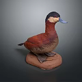 Detailed Duck Taxidermy Mount On Brown Base With Dark Background