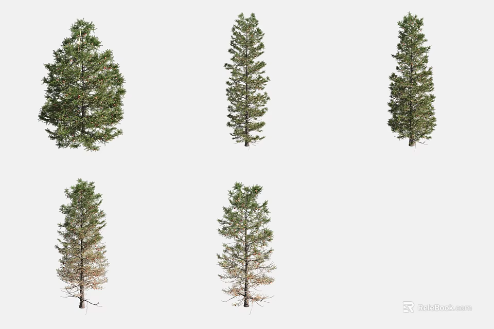 Different Arbor Specimens Displaying Varied Foliage Health and Growth Patterns 3d model