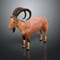 Realistic Brown Ibex With Large Curved Horns Standing On Gray Background