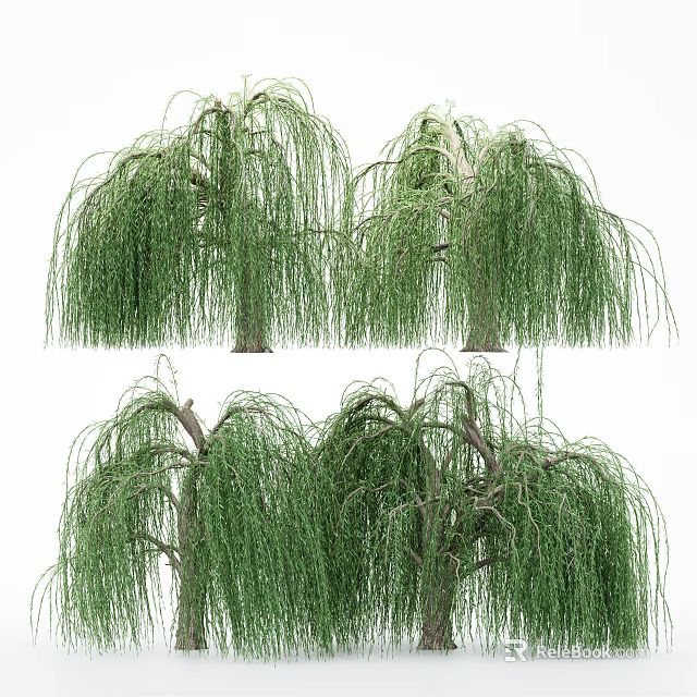 Willow Trees With Graceful Drooping Branches And Lush Green Foliage In Garden 3d model 