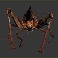 grasshopper insect cartoon locust animation locust anime locust anime game character 3d model