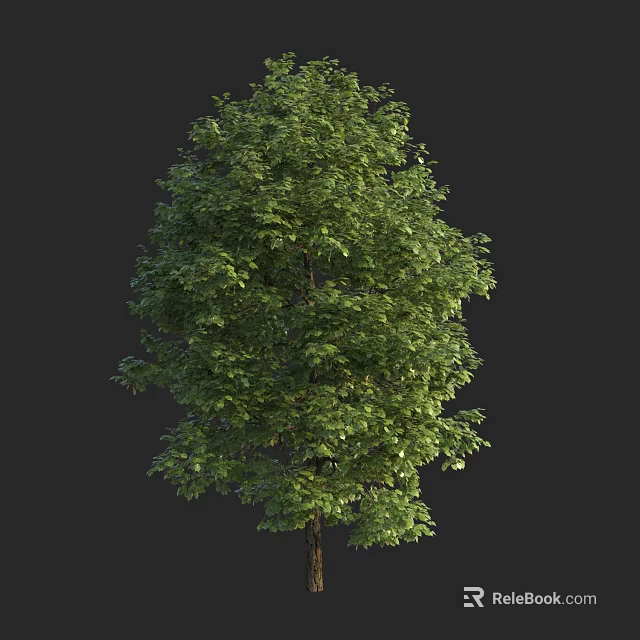 Lush Green Arbor With Dense Foliage And Strong Brown Trunk In Natural Growth 3d model 
