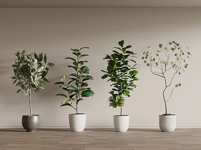 Various Indoor Potted Plants in Decorative Pots on Wooden Floor with Neutral Wall 3d model