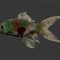 Decorative Green Red Textured Fish With Detailed Fins And Artistic Tail