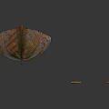 Rustic Wooden Boat With Seats And Two Wooden Oars On Reflective Surface