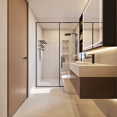 Modern Bathroom Interior Design With Glass Shower Toilet Vanity And Mirrored Cabinet 3d model