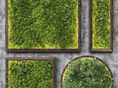 Living Green Plant Wall Decor with Wooden Frames Square and Round Shapes on Gray Wall 3d model