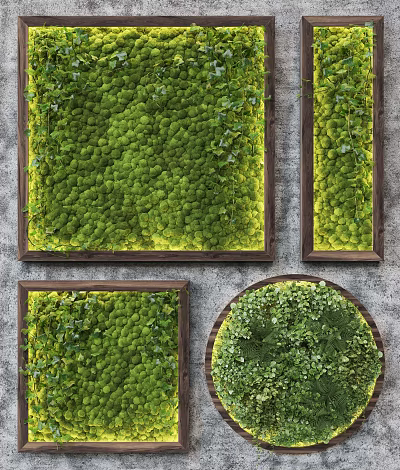 Living Green Plant Wall Decor with Wooden Frames Square and Round Shapes on Gray Wall 3d model