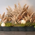 Brown Grass Plants With Green Fern And White Spherical Lights In Black Planter Gray Wall