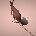 Brown and White Kangaroo Standing on Light Brown Background with Shadow 3d model
