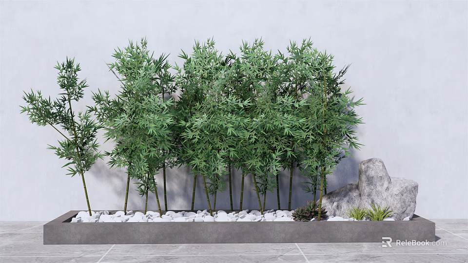 Tall Green Bamboo Plants With White Pebbles Against Gray Wall Decorative Arrangement 3d model 