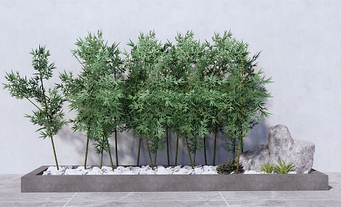 Modern bamboo indoor green bamboo combination 3d model