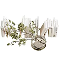 Decorative Ornament Set With Books Glass Vase And Green Plant Branch For Home Decor