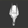 White Animal Skull With Long Curved Horns And Natural Hair Texture On Dark Reflective Background