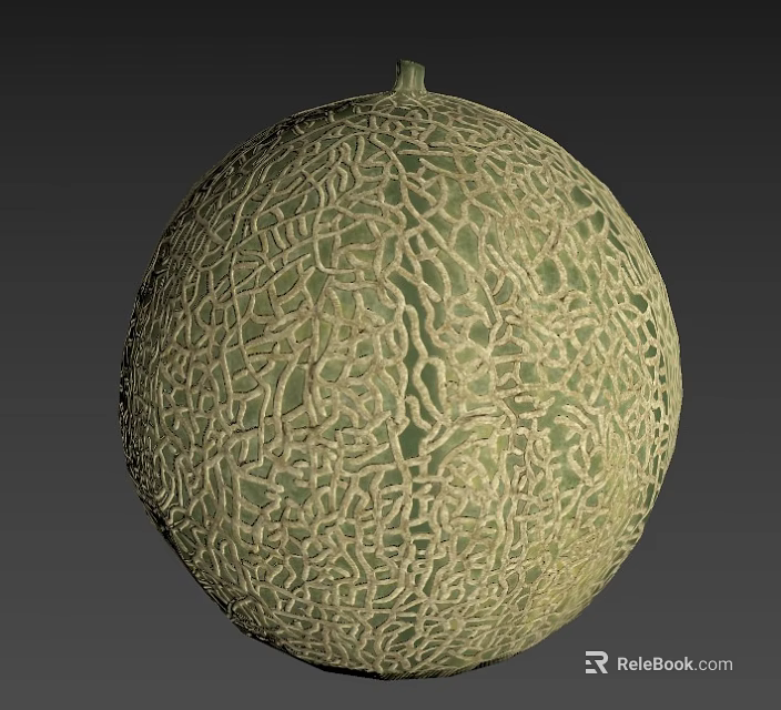 Fresh Ripe Cantaloupe Fruit With Green Netted Skin And Round Shape 3d model 