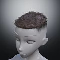 Anatomical 3D Head Model Showing Face Organs And Hair Structure Details