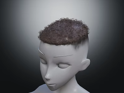 Anatomical 3D Head Model Showing Face Organs And Hair Structure Details 3d model