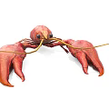 Red Lobster As Fresh Aquatic Seafood With Claws And Antennae On White Background