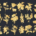 Golden Botanical Silhouettes Of Various Flowers And Plants On Black Background