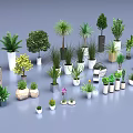 Various Potted Green Plants In Different Sizes Shapes And Material Pots On Gray Background