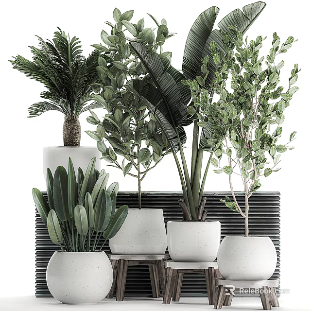 Various Green Potted Plants In White Pots With Decorative Backdrop And Foliage 3d model 