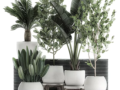 Various Green Potted Plants In White Pots With Decorative Backdrop And Foliage 3d model