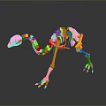 Colorful Dinosaur Animal Skeleton Model With Detailed 3D Rendering Structure 3d model
