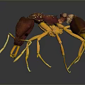 Detailed 3D Rendered Ant With Red Yellow Body And Long Yellow Legs