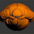 Plump Design Orange Inflatable Daily Living Doll Wearing Adidas Hoodie and Glasses