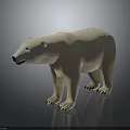 Realistic Polar Bear Standing Posture With Thick White Fur And Detailed Features