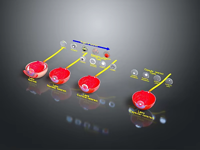 3D Anatomical Cardiac Medical Device With Heart Valve Catheter And Monitoring Sensors 3d model
