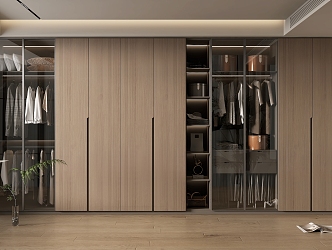 Modern home wardrobe 3d model