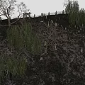 Hillside With Many Tombstones Trees Willow Trees Pavilion And Gray Sky