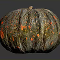 Vibrant Colorful Speckled Pumpkin With Textured Skin And Natural Stem